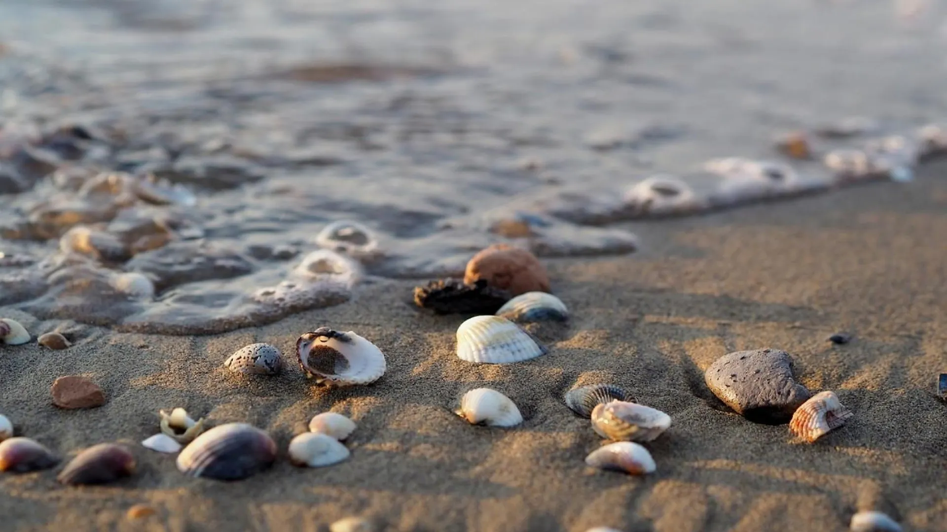 Stay In A Comfy Flat Near The Beach - Beahost Porto Santa Margherita di Caorle Italy
